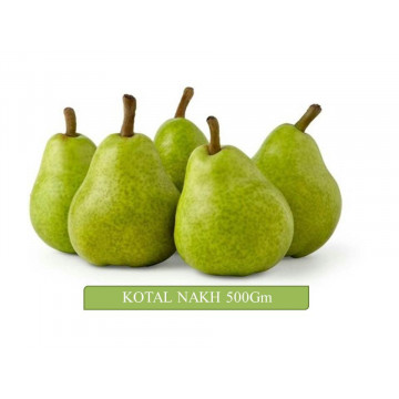 Kotal Nakh 500 Gm